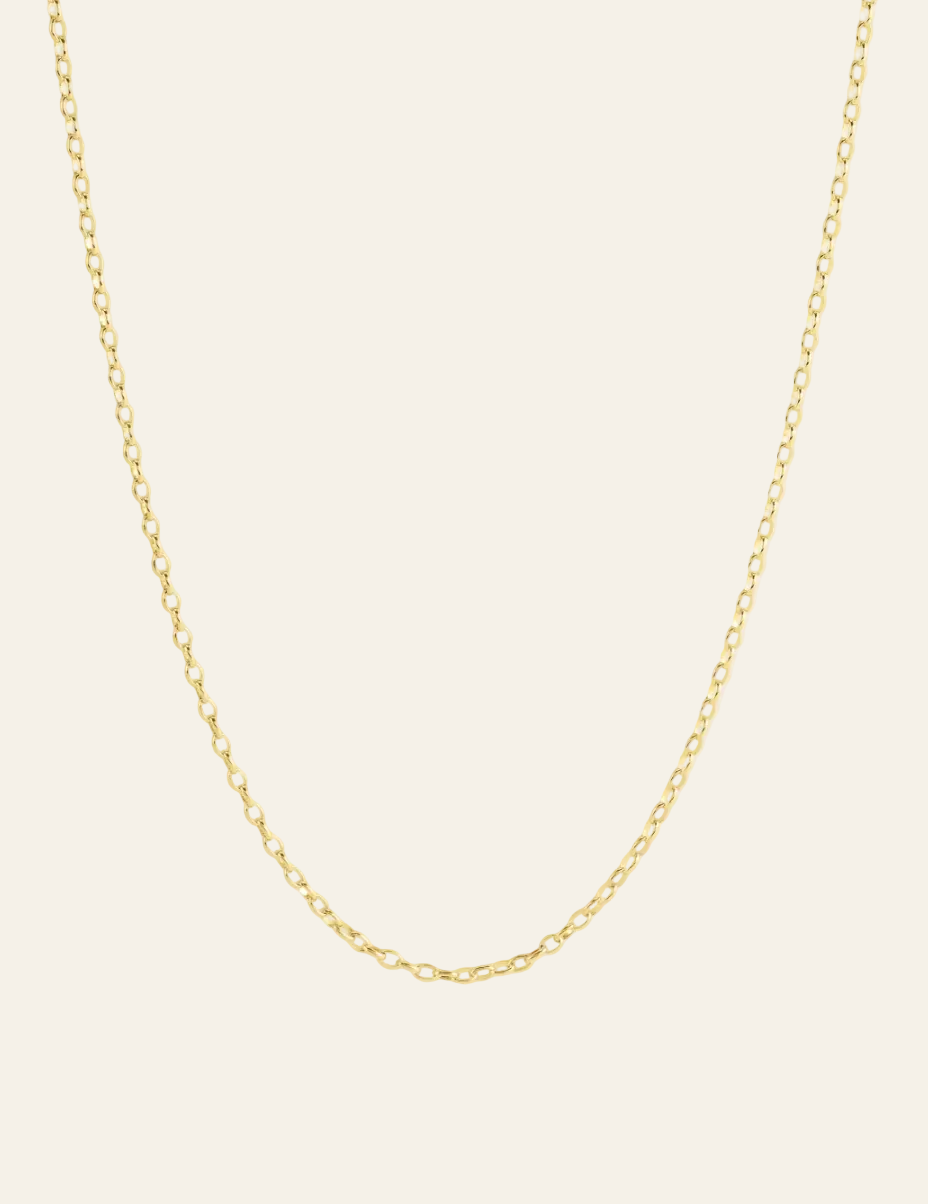 Gold Long Chain