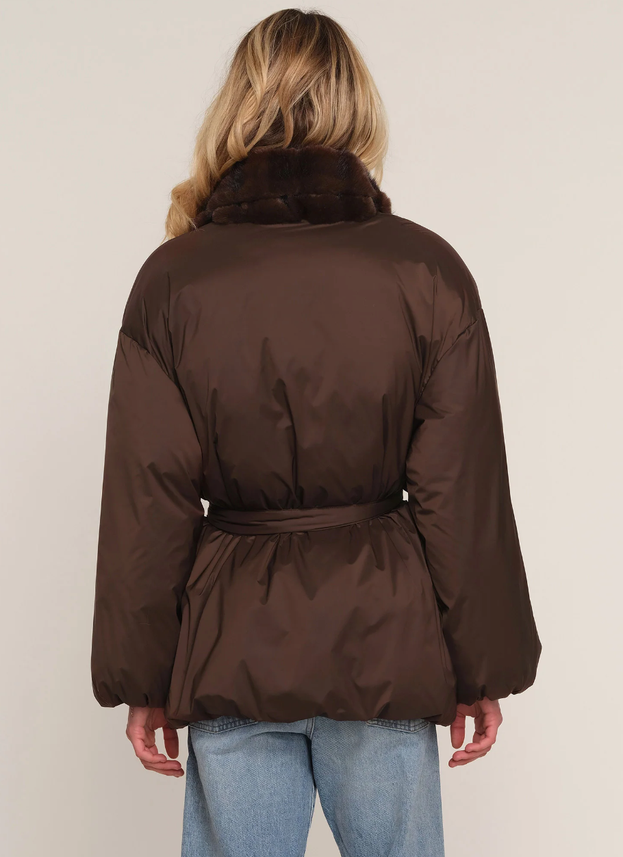 Astoria puffer