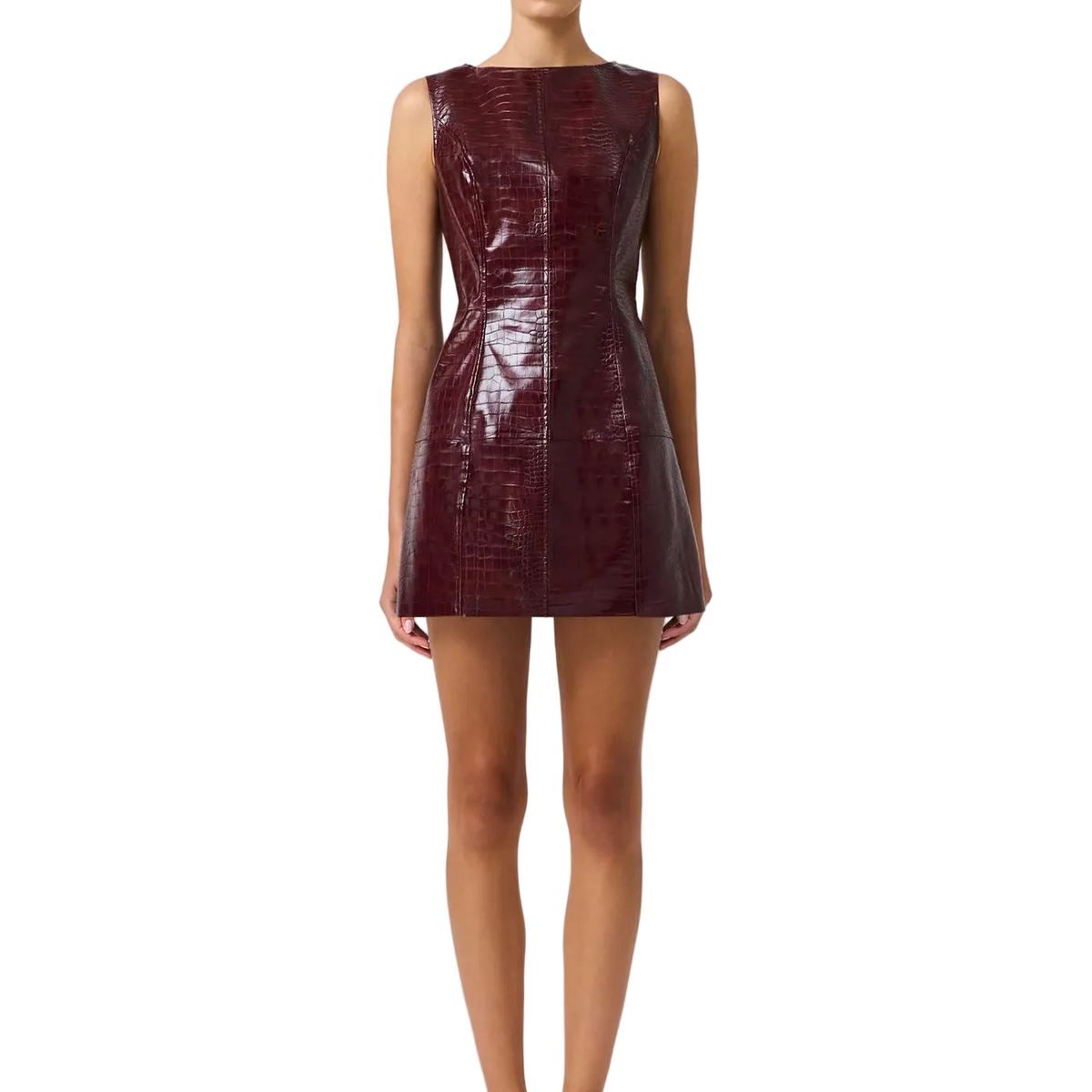 Lorea Mini Dress