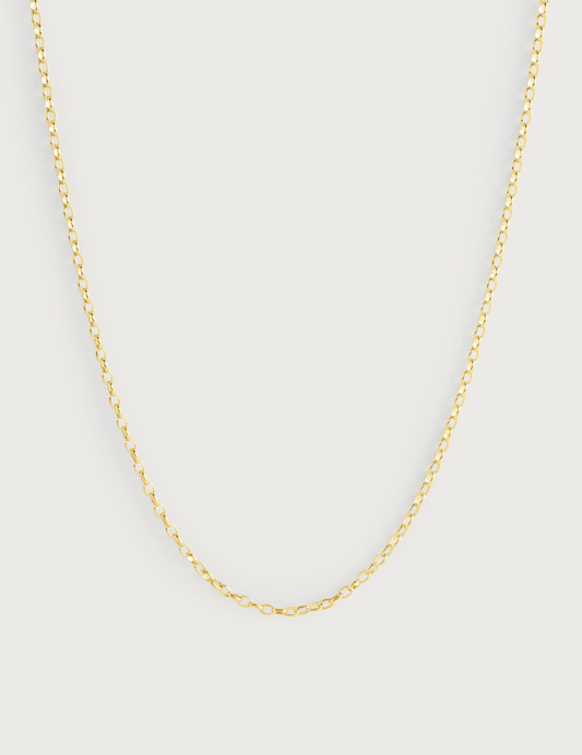Gold Long Chain