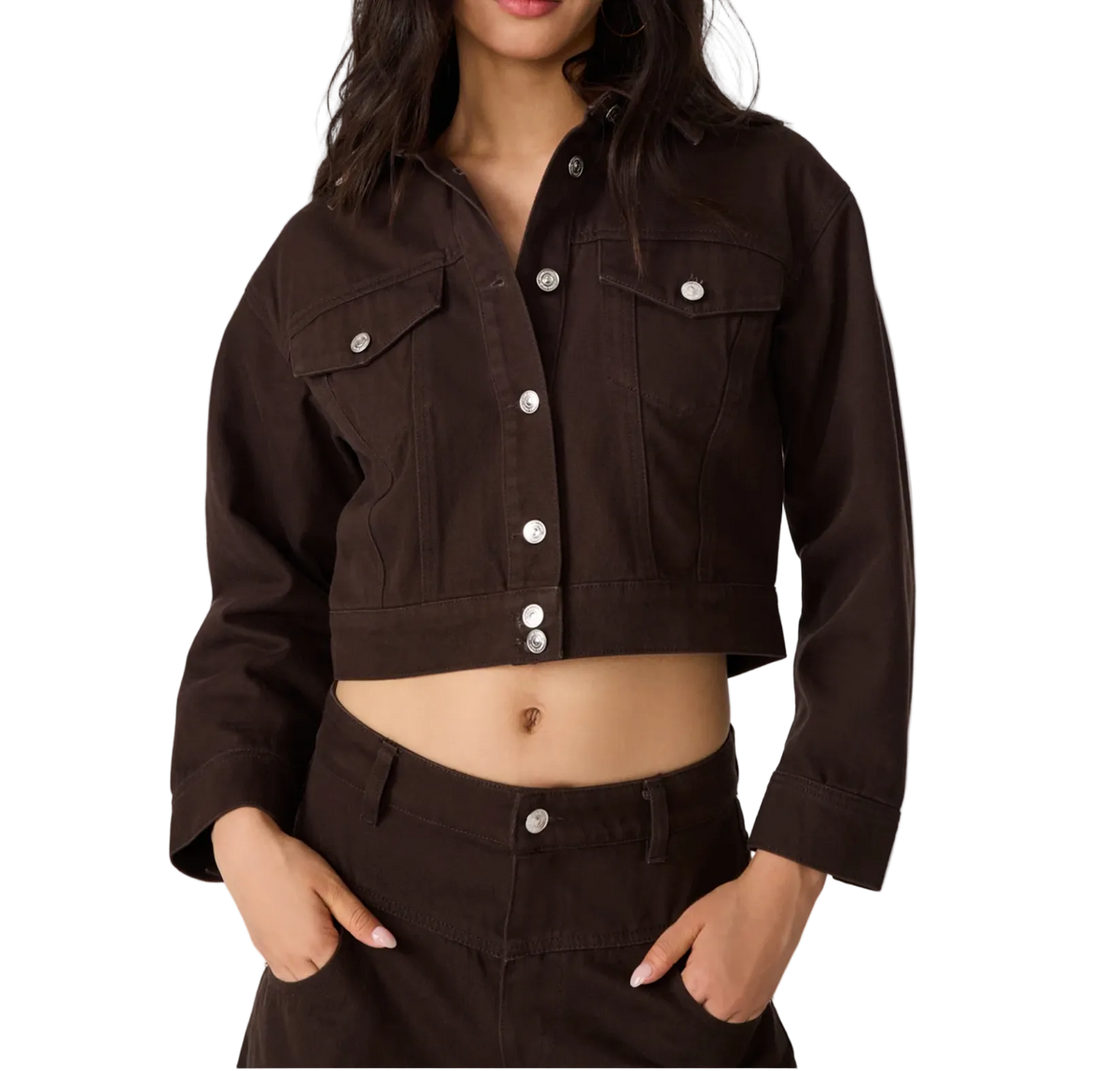 Dove Jacket Espresso